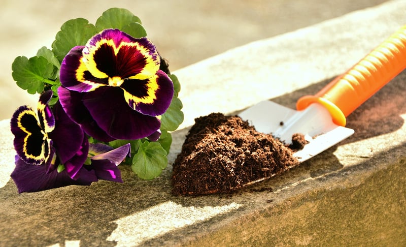 Gardening tools